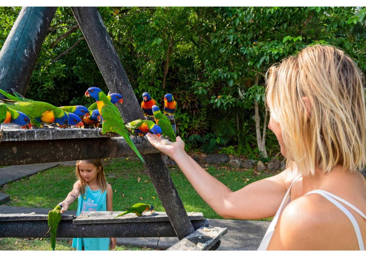 Discovery Parks - Airlie Beach Εξωτερικό φωτογραφία