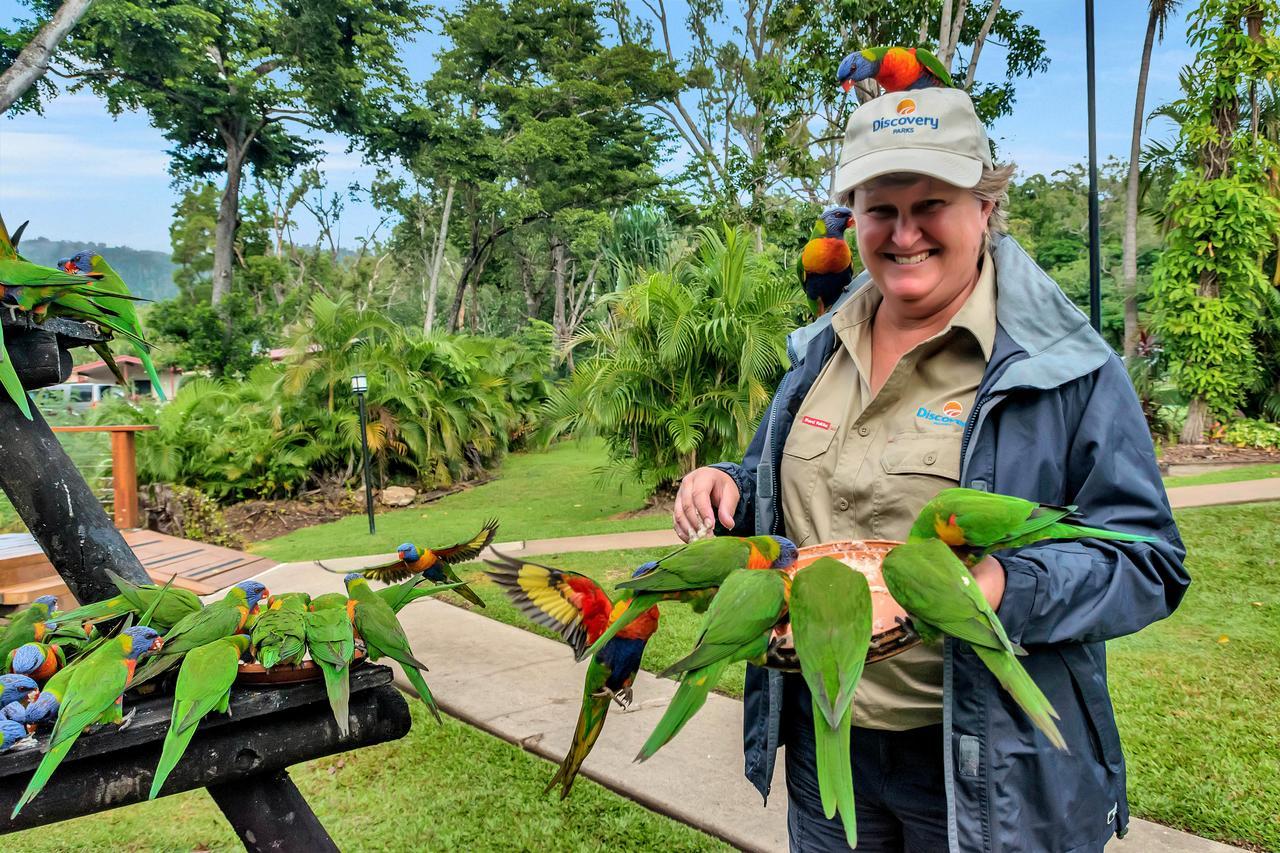 Discovery Parks - Airlie Beach Εξωτερικό φωτογραφία