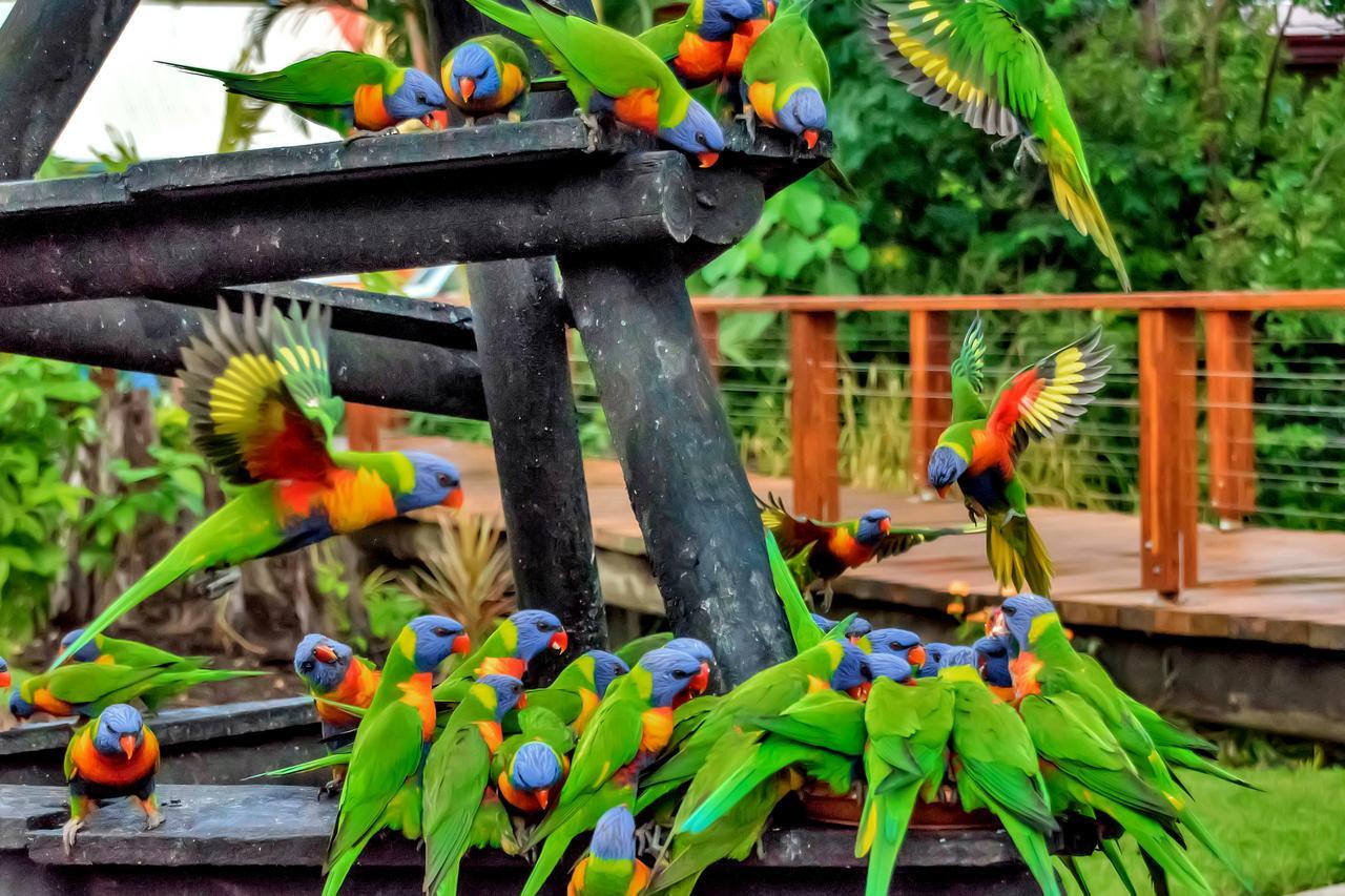 Discovery Parks - Airlie Beach Εξωτερικό φωτογραφία